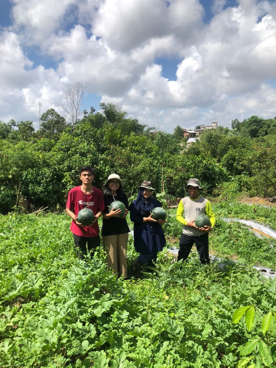 Panen Semangka di Kebun RT 37