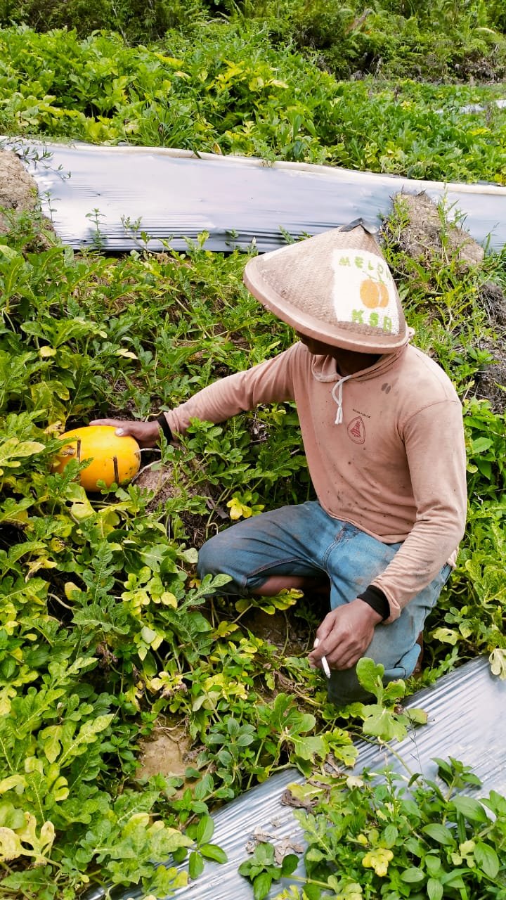 Kebun Buah
